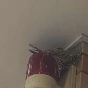 ヒメ日記 2026/04/30 10:10 投稿 斉藤ちか 乳ビーナス(New Venus)