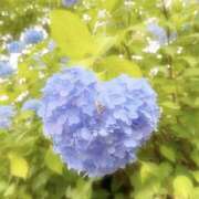 ヒメ日記 2026/06/17 09:28 投稿 斉藤ちか 乳ビーナス(New Venus)