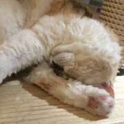 ヒメ日記 2026/06/28 10:25 投稿 斉藤ちか 乳ビーナス(New Venus)
