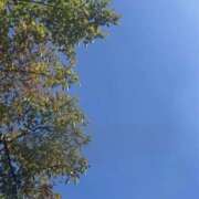 ヒメ日記 2026/10/10 10:18 投稿 斉藤ちか 乳ビーナス(New Venus)