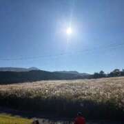 ヒメ日記 2025/11/22 10:22 投稿 えみ 熟女の風俗最終章 池袋店