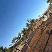 ヒメ日記 2025/12/19 12:09 投稿 えみ 熟女の風俗最終章 池袋店