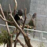 ヒメ日記 2026/04/19 11:12 投稿 えみ 熟女の風俗最終章 池袋店