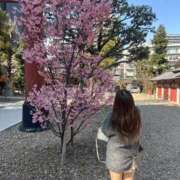 ヒメ日記 2026/03/21 15:44 投稿 ねお One More奥様　蒲田店