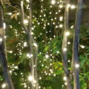 ヒメ日記 2024/12/10 11:39 投稿 かんな 性腺熟女100％（デリヘル市場）