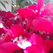 ヒメ日記 2024/12/14 17:15 投稿 かんな 性腺熟女100％（デリヘル市場）