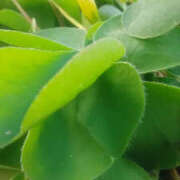 ヒメ日記 2025/02/22 10:17 投稿 かんな 性腺熟女100％（デリヘル市場）