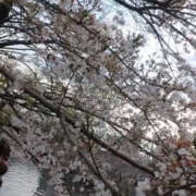 ヒメ日記 2025/04/05 01:48 投稿 かんな 性腺熟女100％（デリヘル市場）