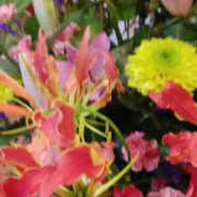 ヒメ日記 2025/05/19 15:02 投稿 かんな 性腺熟女100％（デリヘル市場）