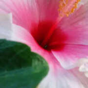 ヒメ日記 2025/09/11 12:49 投稿 かんな 性腺熟女100％（デリヘル市場）