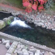 ヒメ日記 2025/12/16 11:15 投稿 かんな 性腺熟女100％（デリヘル市場）