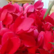 ヒメ日記 2026/02/28 07:25 投稿 かんな 性腺熟女100％（デリヘル市場）