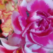 ヒメ日記 2026/03/02 14:00 投稿 かんな 性腺熟女100％本店（デリヘル市場）