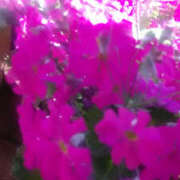 ヒメ日記 2026/03/14 12:10 投稿 かんな 性腺熟女100％本店（デリヘル市場）