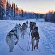 ヒメ日記 2024/12/18 06:47 投稿 みすず エンブレイス　ダイヤモンド