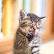 ヒメ日記 2024/12/20 06:56 投稿 みすず エンブレイス　ダイヤモンド