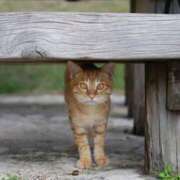 ヒメ日記 2024/12/27 06:55 投稿 みすず エンブレイス　ダイヤモンド