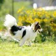 ヒメ日記 2025/02/12 06:43 投稿 みすず エンブレイス　ダイヤモンド