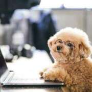 ヒメ日記 2025/11/06 06:32 投稿 みすず エンブレイス　ダイヤモンド