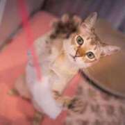 みすず 本日出勤致します😊 エンブレイス　ダイヤモンド