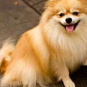 ヒメ日記 2025/12/05 07:06 投稿 みすず エンブレイス　ダイヤモンド