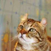 みすず おはようございます😊 エンブレイス　ダイヤモンド