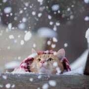 みすず 本日も出勤致します😊 エンブレイス　ダイヤモンド