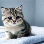 ヒメ日記 2026/01/22 07:31 投稿 みすず エンブレイス　ダイヤモンド