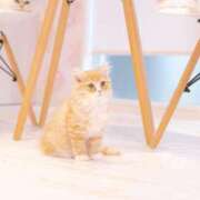 みすず おはようございます😊 エンブレイス　ダイヤモンド