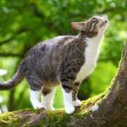 ヒメ日記 2026/02/24 07:17 投稿 みすず エンブレイス　ダイヤモンド