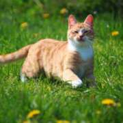 ヒメ日記 2026/03/04 07:09 投稿 みすず エンブレイス　ダイヤモンド