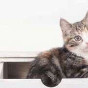 ヒメ日記 2026/04/14 07:24 投稿 みすず エンブレイス　ダイヤモンド