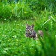 ヒメ日記 2026/05/20 07:04 投稿 みすず エンブレイス　ダイヤモンド