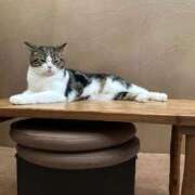 ヒメ日記 2025/08/27 10:59 投稿 ちさと One More奥様　八王子店