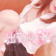 ヒメ日記 2025/04/11 08:00 投稿 マキ OLの品格 クラブアッシュ