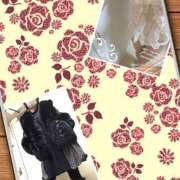 ヒメ日記 2025/02/23 09:54 投稿 みゆ 汁婆クラブ