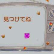 ヒメ日記 2026/10/08 11:06 投稿 琴(こと) 相模原人妻城