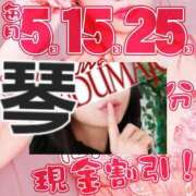 ヒメ日記 2026/10/15 09:15 投稿 琴(こと) 相模原人妻城