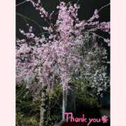 ヒメ日記 2025/04/14 01:26 投稿 つきひ 奥様鉄道69 仙台店