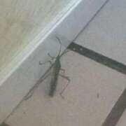 ヒメ日記 2024/12/26 13:36 投稿 なつき『ガール』 ディオーネ