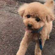 ヒメ日記 2025/05/27 15:57 投稿 なつき『ガール』 ディオーネ