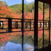 ヒメ日記 2025/11/07 07:18 投稿 なつき『ガール』 ディオーネ