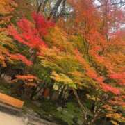 ヒメ日記 2025/11/17 22:27 投稿 なつき『ガール』 ディオーネ