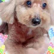 ヒメ日記 2025/12/03 18:25 投稿 なつき『ガール』 ディオーネ