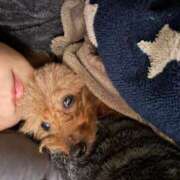 ヒメ日記 2025/12/04 09:56 投稿 なつき『ガール』 ディオーネ