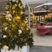 ヒメ日記 2025/12/04 23:20 投稿 なつき『ガール』 ディオーネ