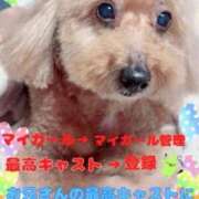 ヒメ日記 2025/12/09 18:47 投稿 なつき『ガール』 ディオーネ