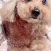 ヒメ日記 2025/12/14 12:24 投稿 なつき『ガール』 ディオーネ