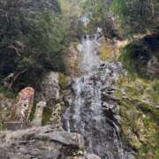 ヒメ日記 2026/02/04 23:15 投稿 なつき『ガール』 ディオーネ