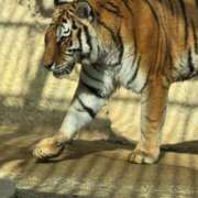 ヒメ日記 2026/03/07 16:36 投稿 なつき『ガール』 ディオーネ